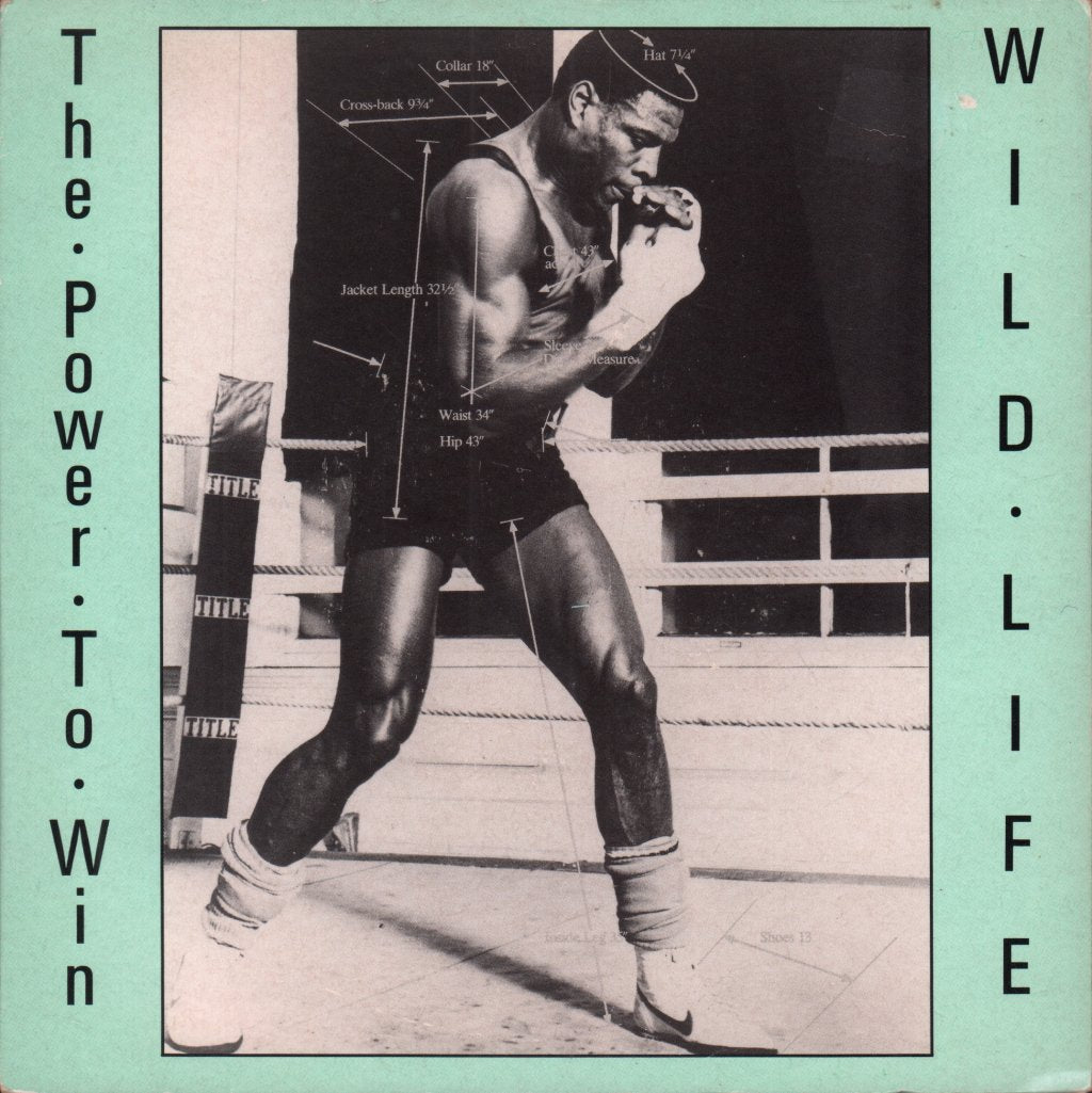 Wildlife (Pop) - Power To Win - 7 Inch