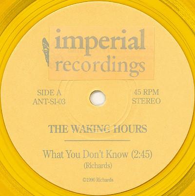 Waking Hours - What You Don't Know - 7 Inch