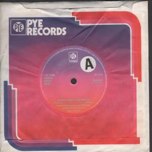 New World Brass Band - Theme From A New World - 7 Inch