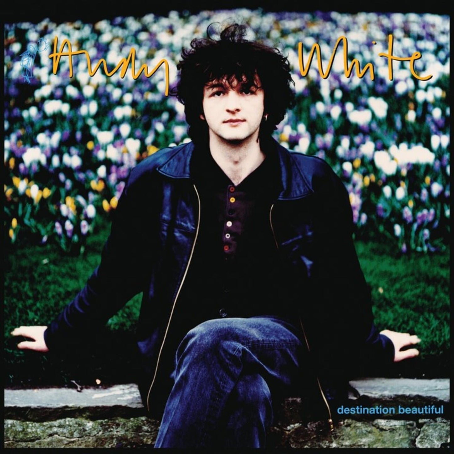 Andy White - Destination Beautiful - Lp