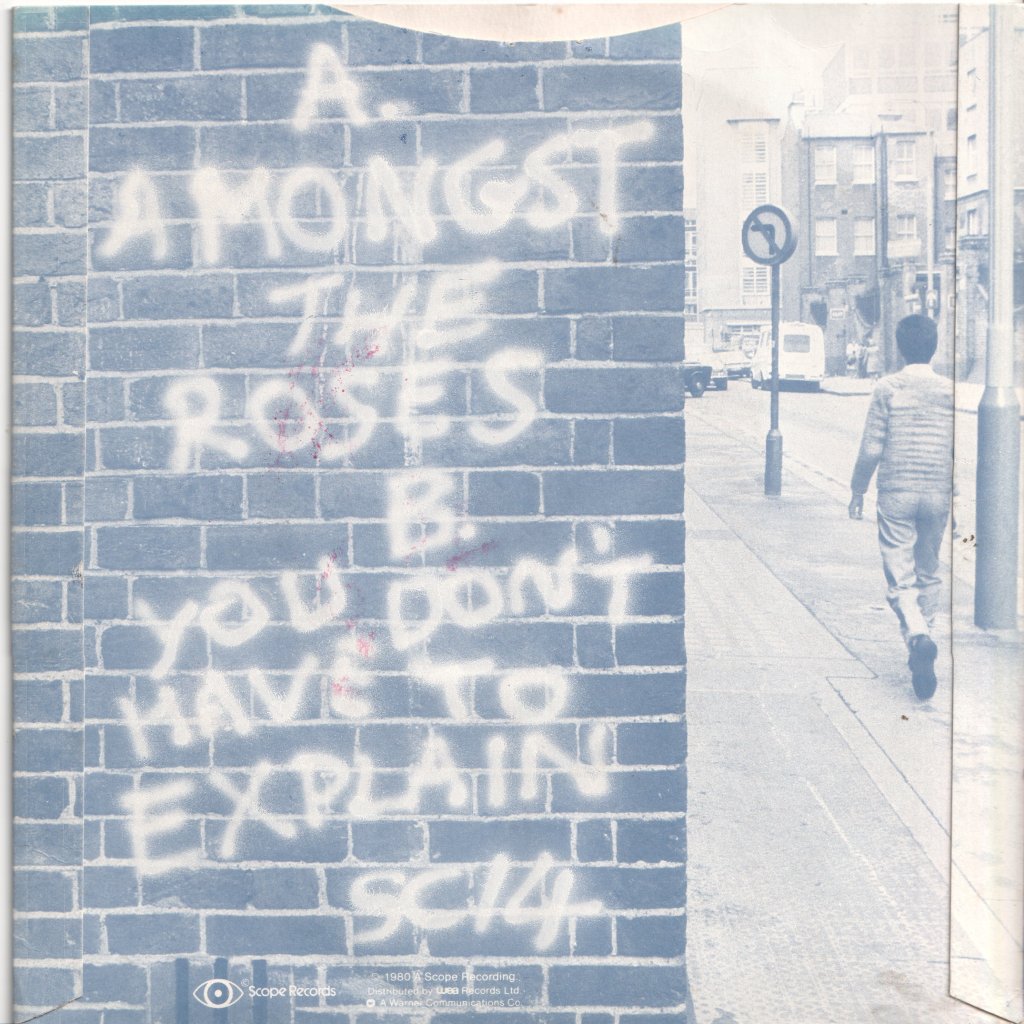 Small Change (New Wave Group) - Amongst The Roses - 7 Inch