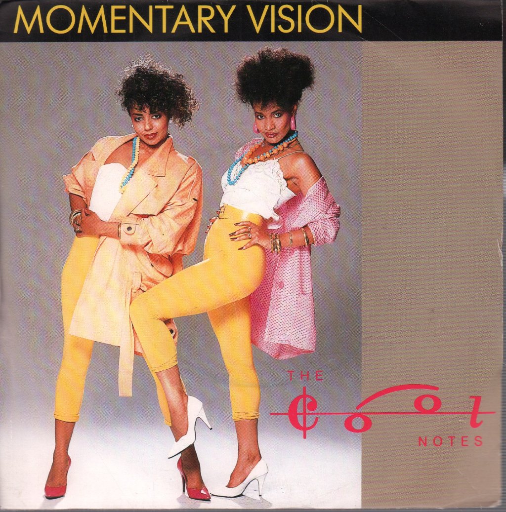 Cool Notes - Momentary Vision - 7 Inch