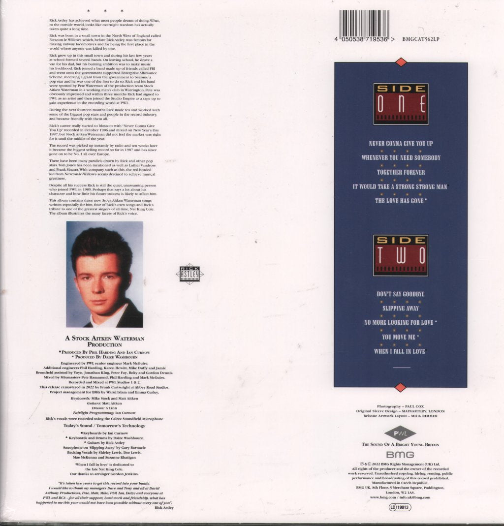 Rick Astley - Whenever You Need Somebody - Lp