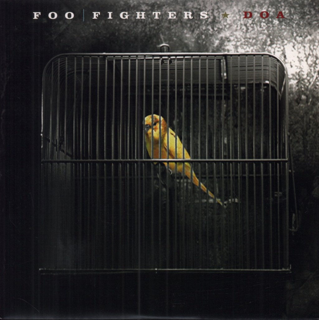 Foo Fighters - Doa - 7 Inch