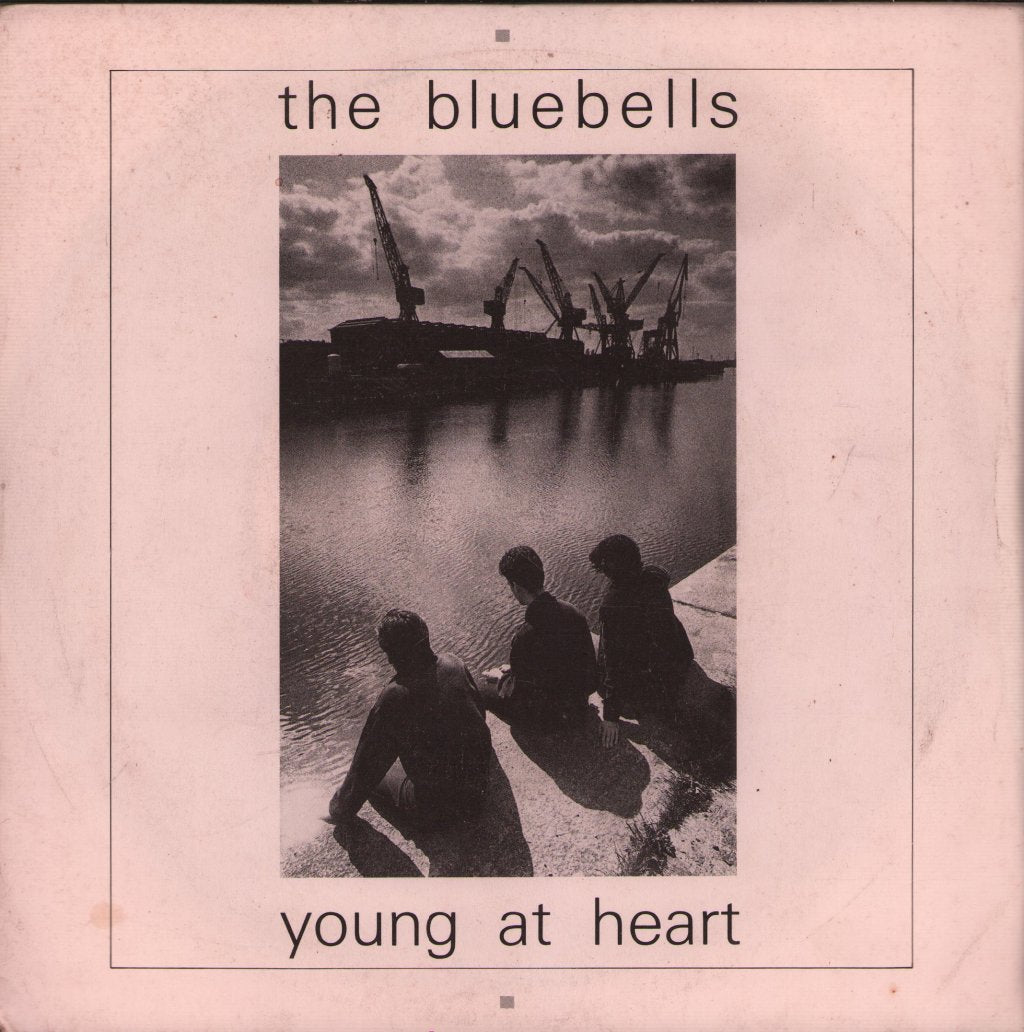 Bluebells - Young At Heart - 7 Inch