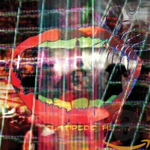 Animal Collective - Centipede Hz - Cd