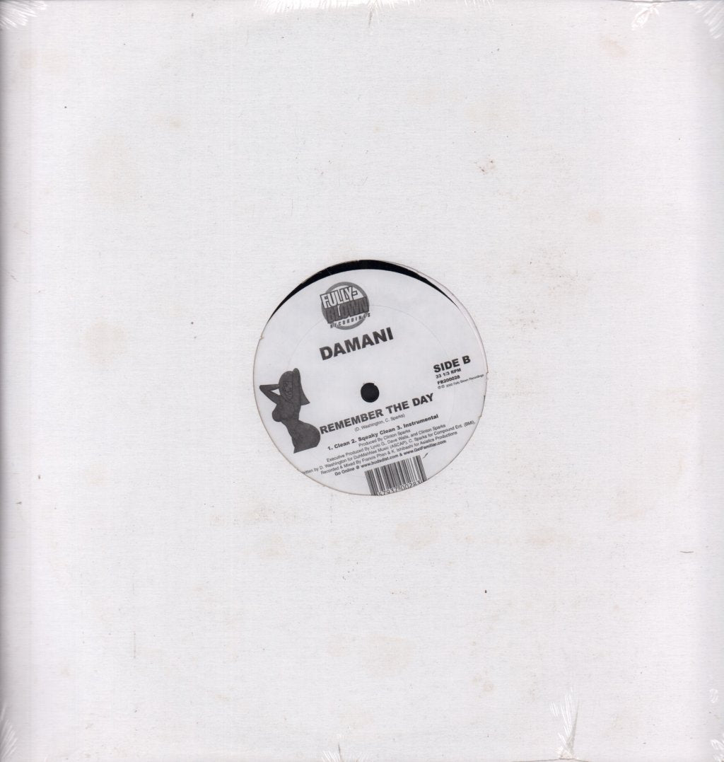 Damani - Move/Remember The Day - 12 Inch