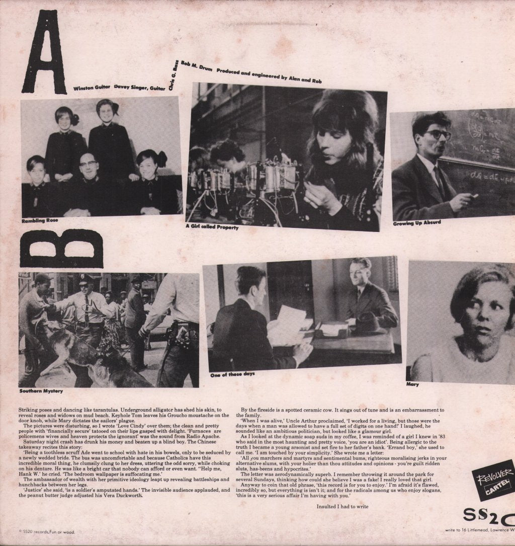 Brilliant Corners - Growing Up Absurd - 12 Inch