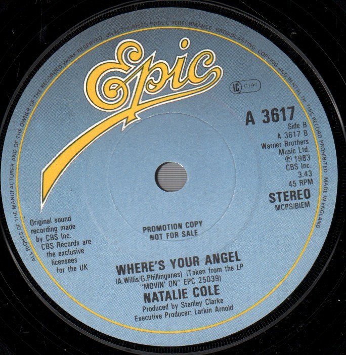 Natalie Cole - Too Much Mister - 7 Inch