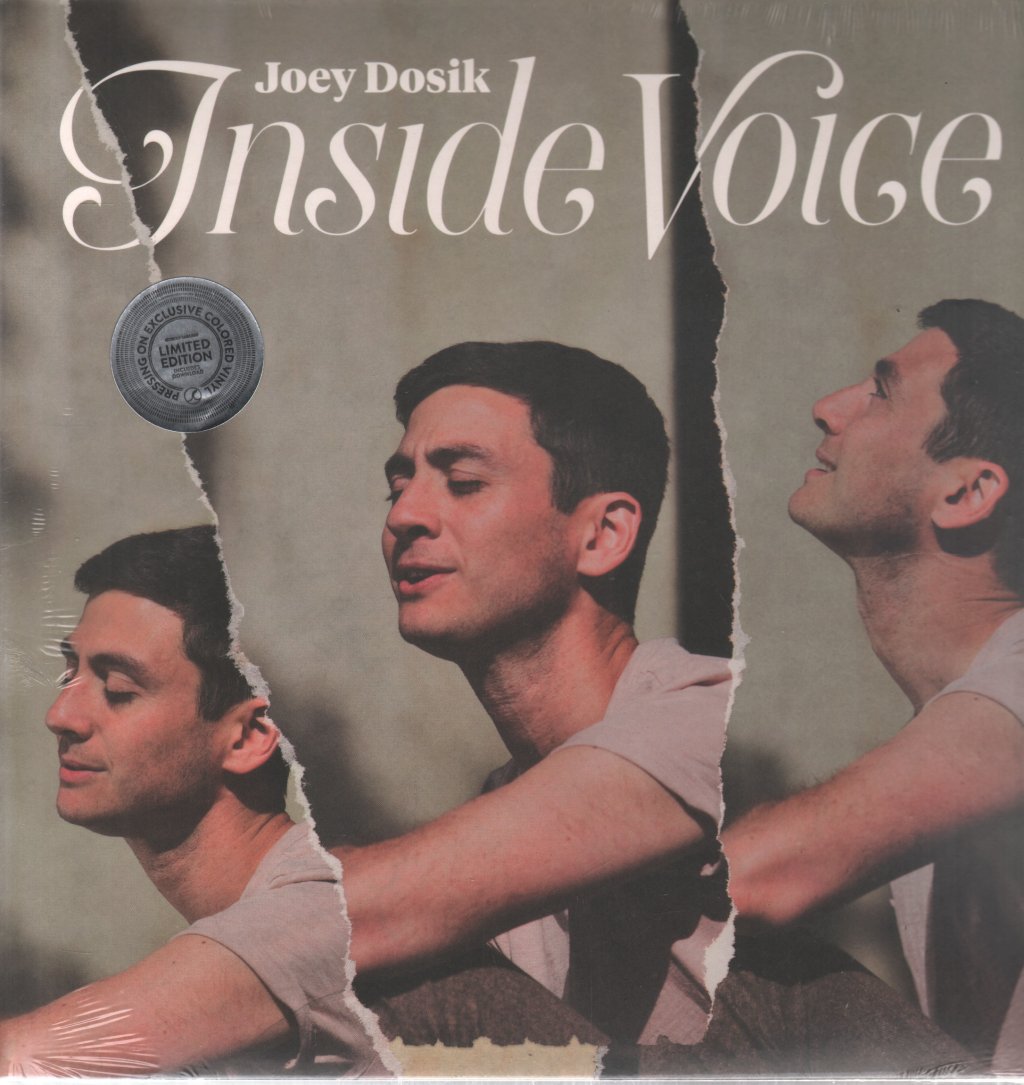Joey Dosik - Inside Voice - Lp