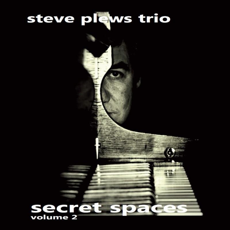 Steve Plews Trio - Secret Spaces Volume 2 - Cd