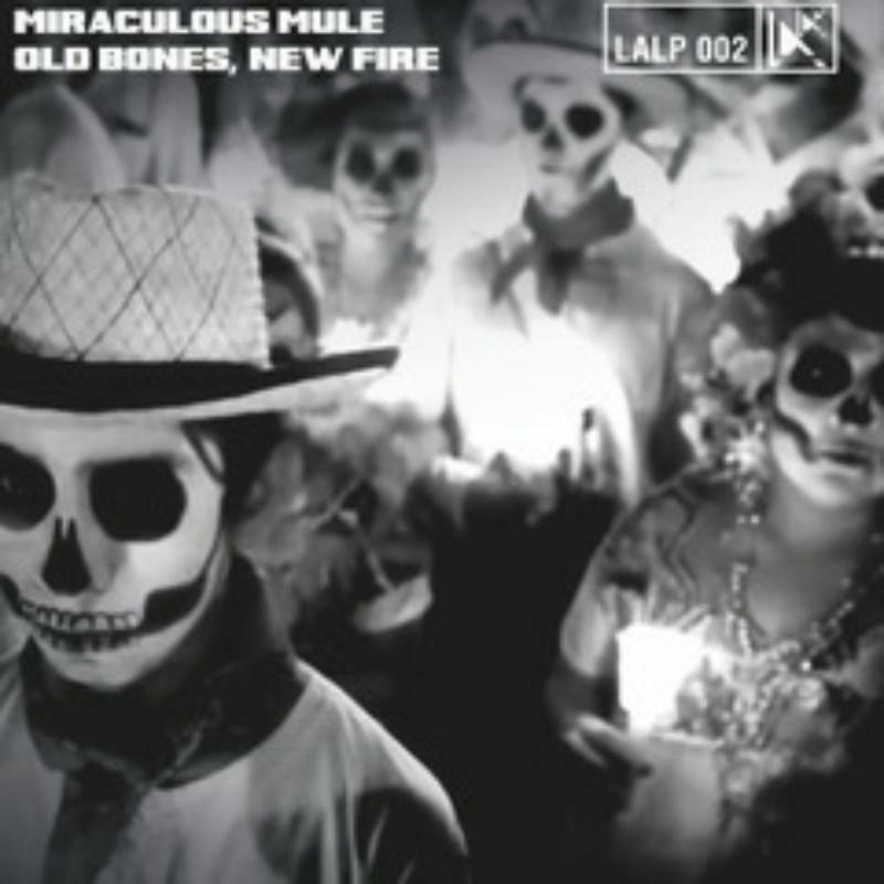 Miraculous Mule - Old Bones, New Fire - Cd