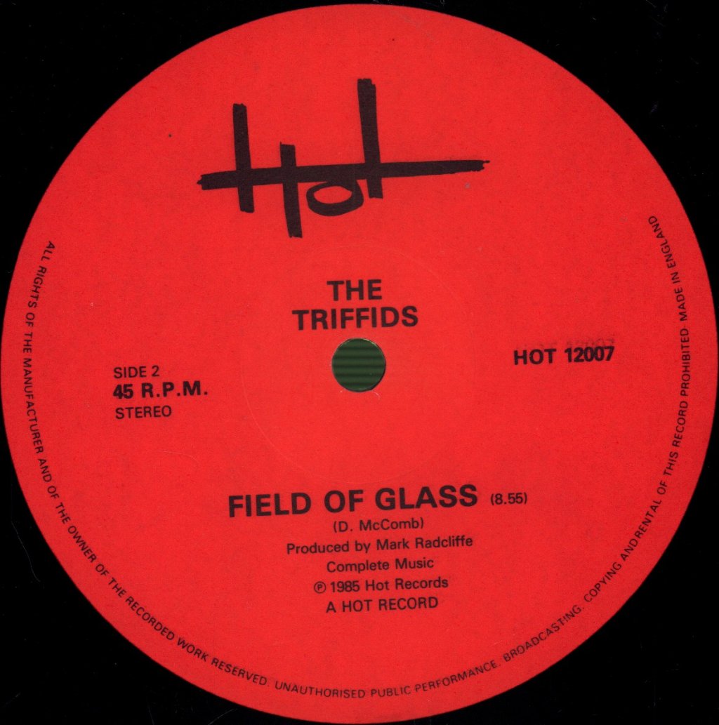 Triffids - Field Of Glass - 12 Inch