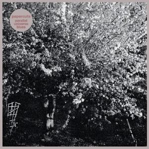 Papercuts - Parallel Universe Blues - Lp