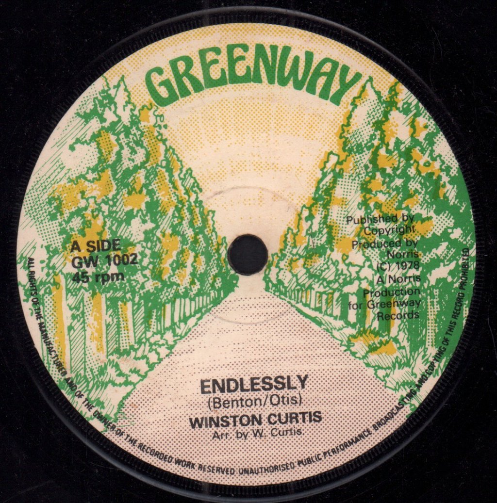 Winston Curtis - Endlessly / What Am I Living For - 7 Inch