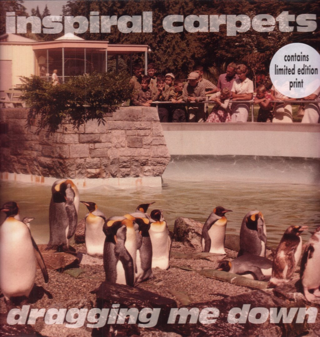 Inspiral Carpets - Dragging Me Down - 12 Inch