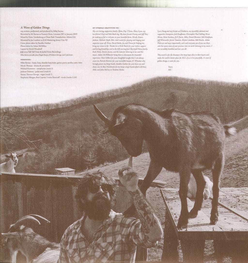 Tall Tall Trees - A Wave Of Golden Things - Lp