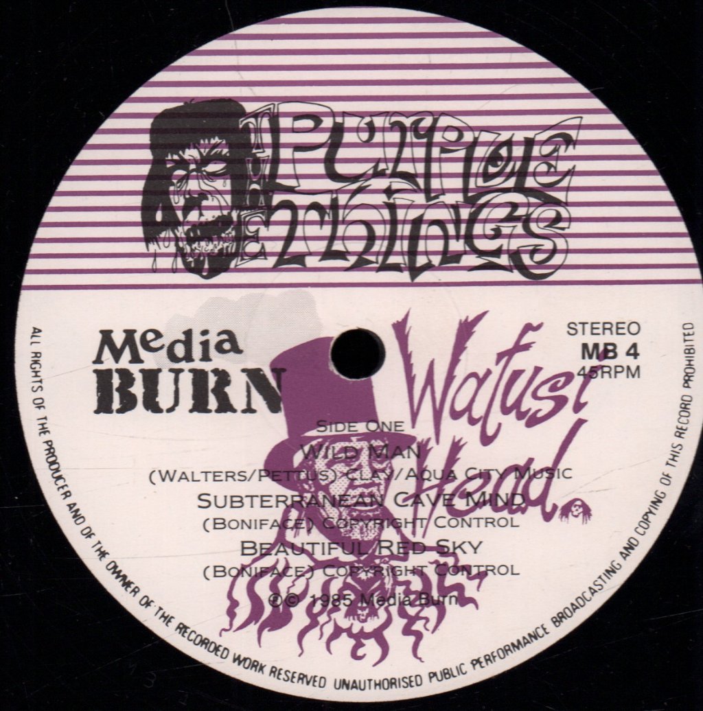 Purple Things - Deep In The Mind - Lp