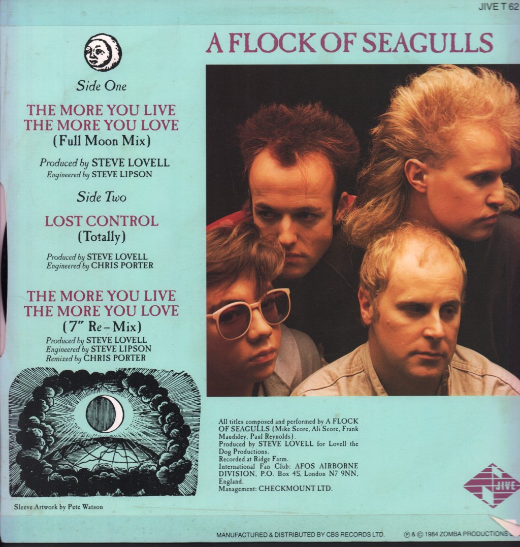 A Flock Of Seagulls - More You Live - 12 Inch