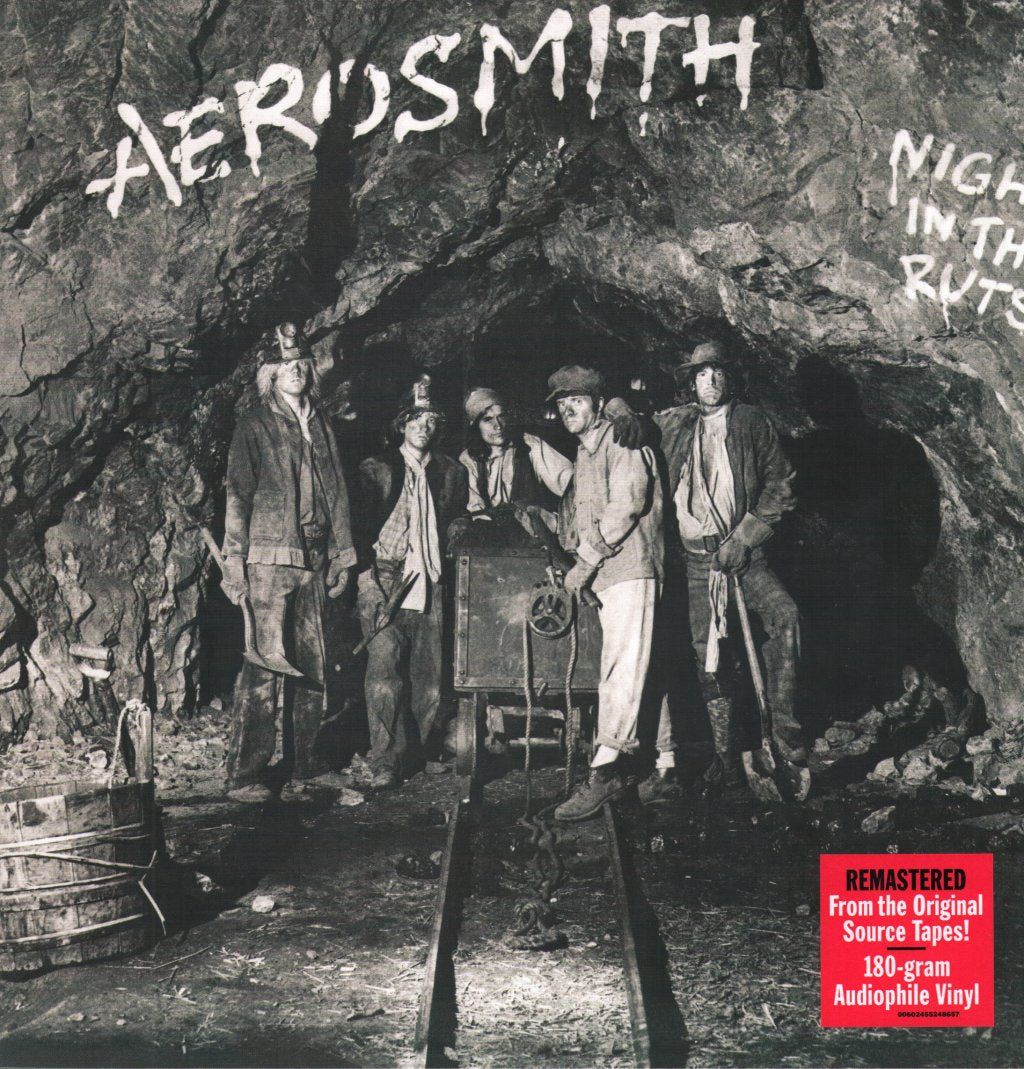 Aerosmith - Night In the Ruts - Lp