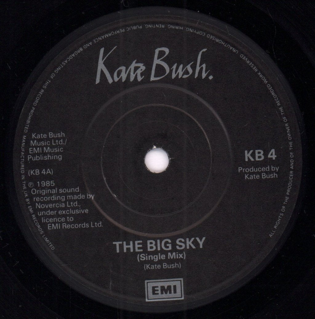 Kate Bush - Big Sky - 7 Inch