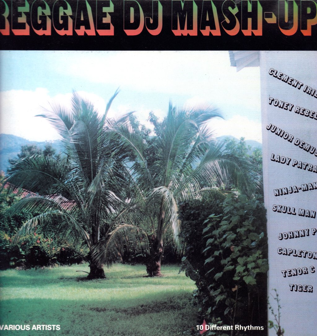 Various Artists - Reggae DJ Mash-Up - Lp