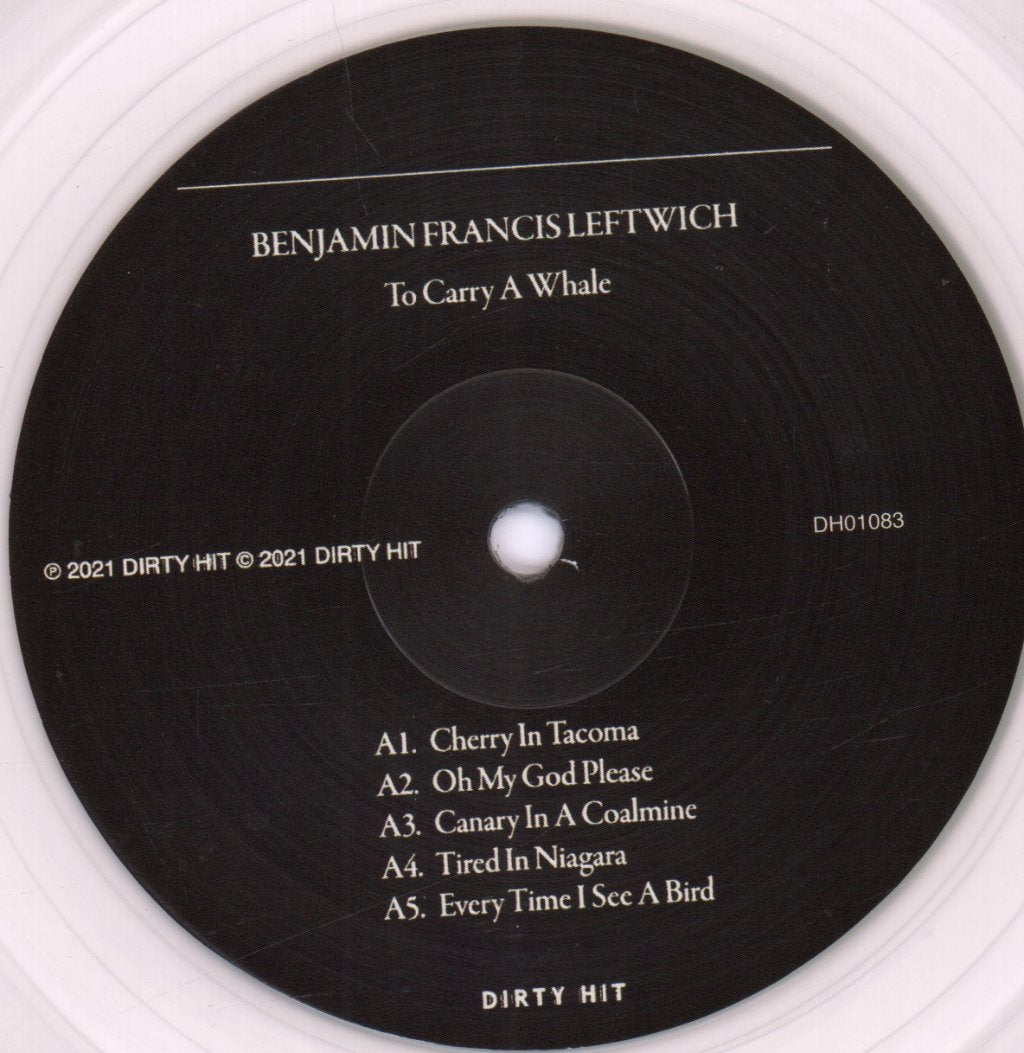 Benjamin Francis Leftwich - To Carry A Whale - Lp