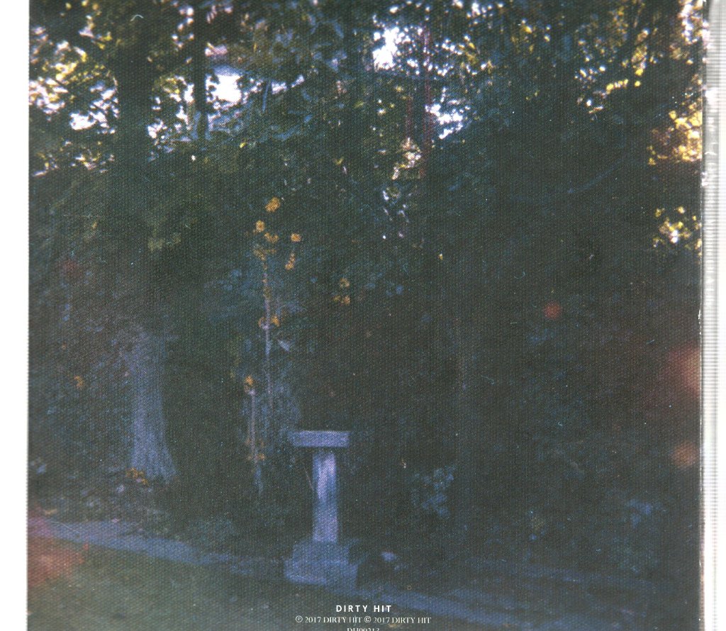 Wolf Alice - Visions Of A Life - Cd