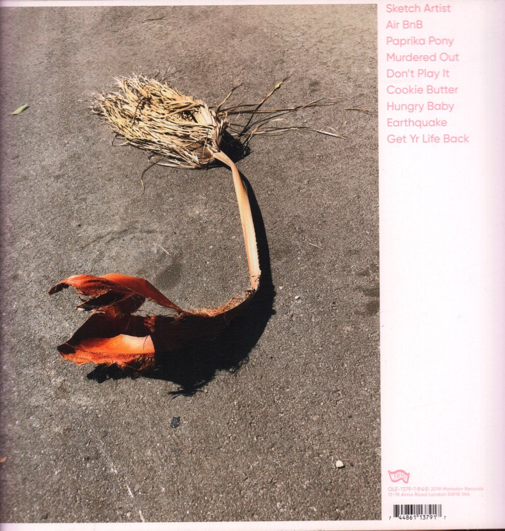 Kim Gordon - No Home Record - Lp
