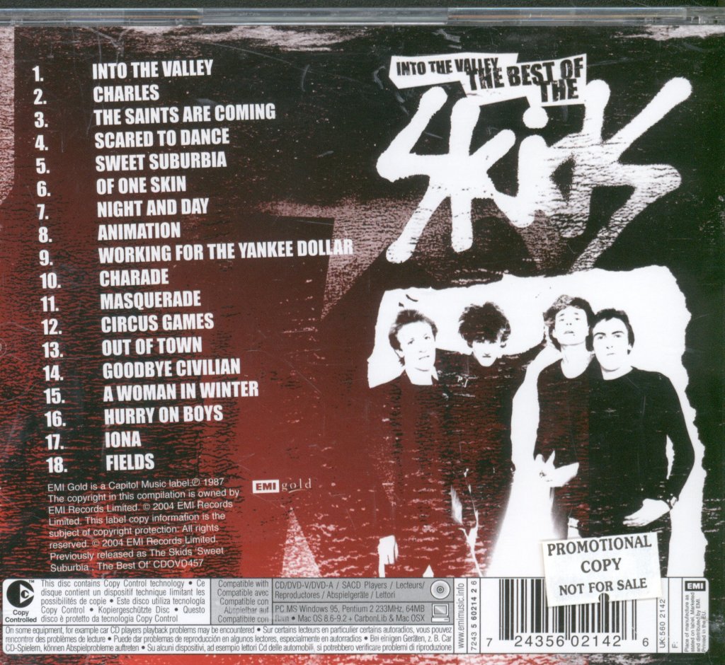 Skids - Skids Into The Valley: The Best Of The Skids - Cd