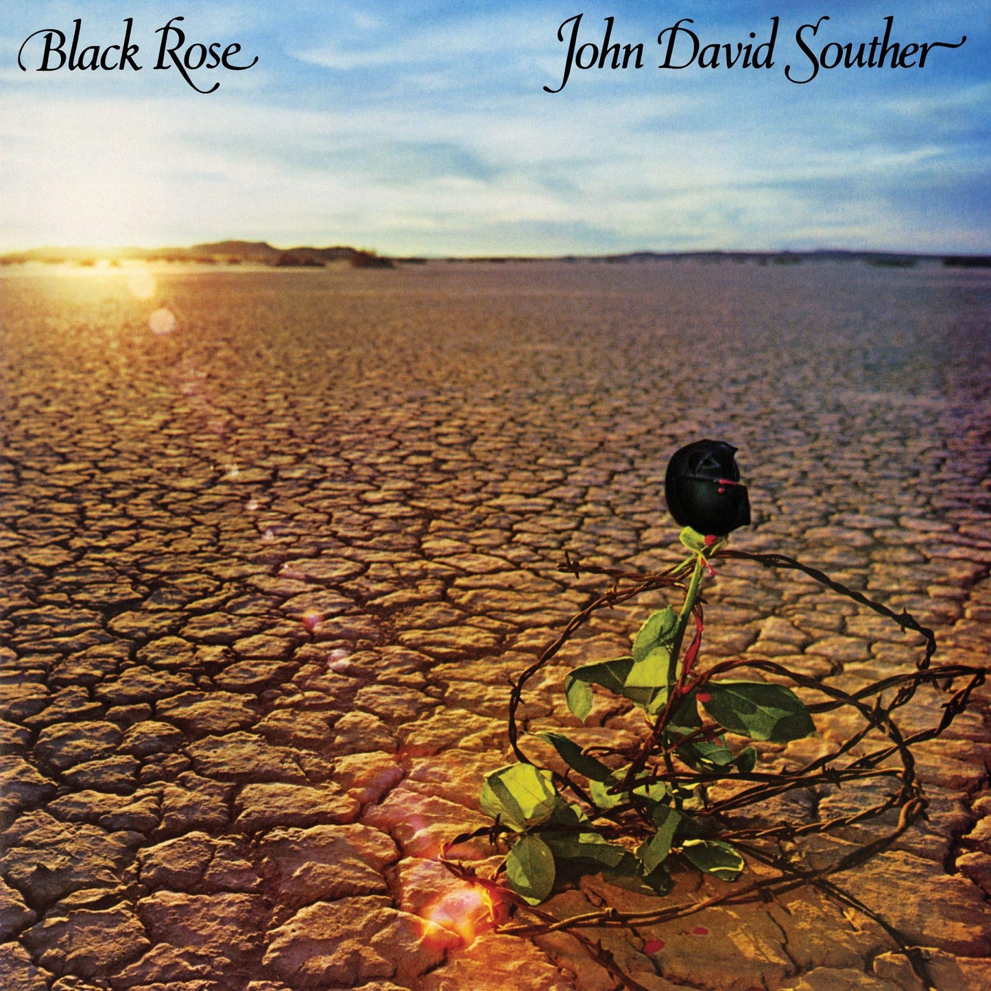 J D Souther - Black Rose - Lp