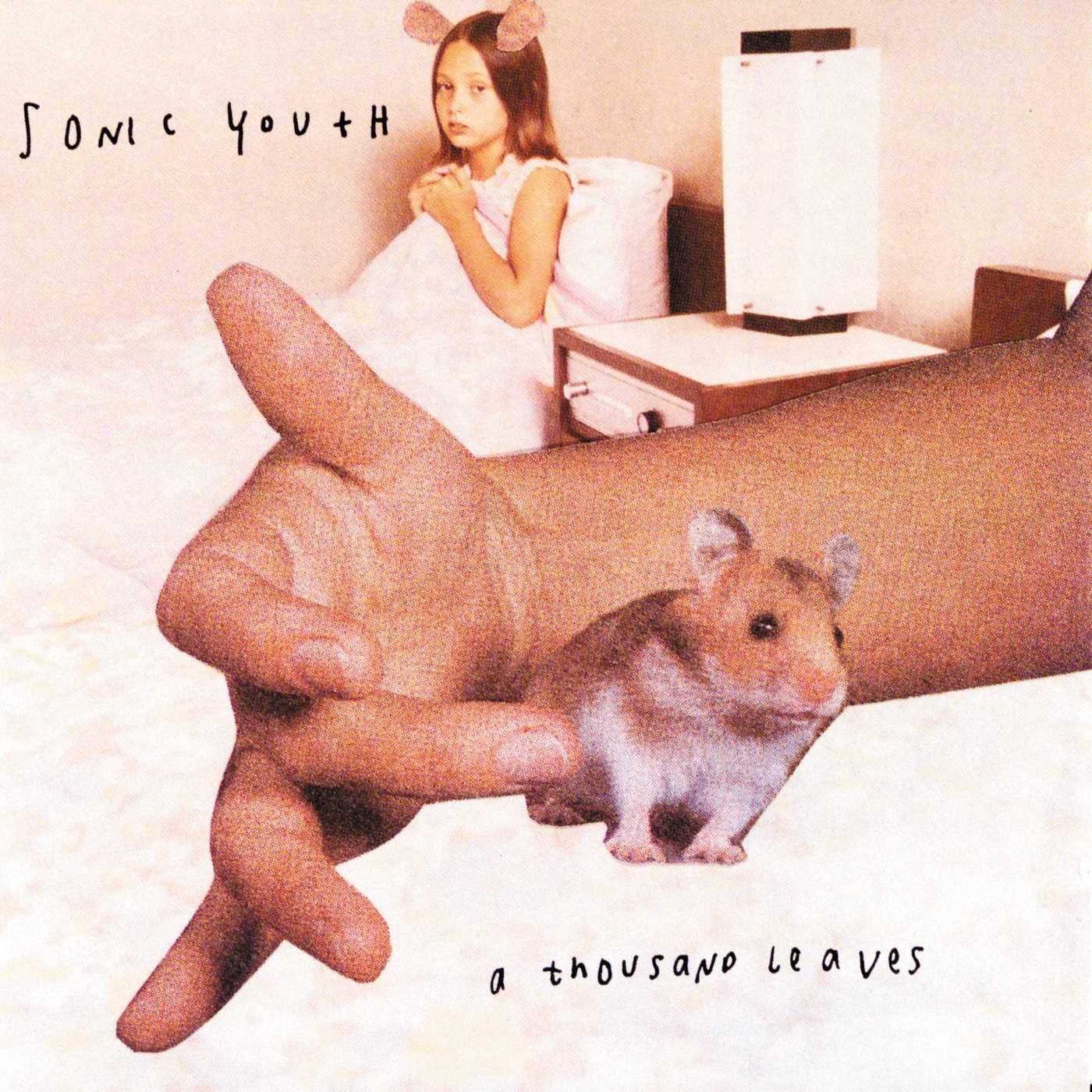Sonic Youth - A Thousand Leaves - Double Lp