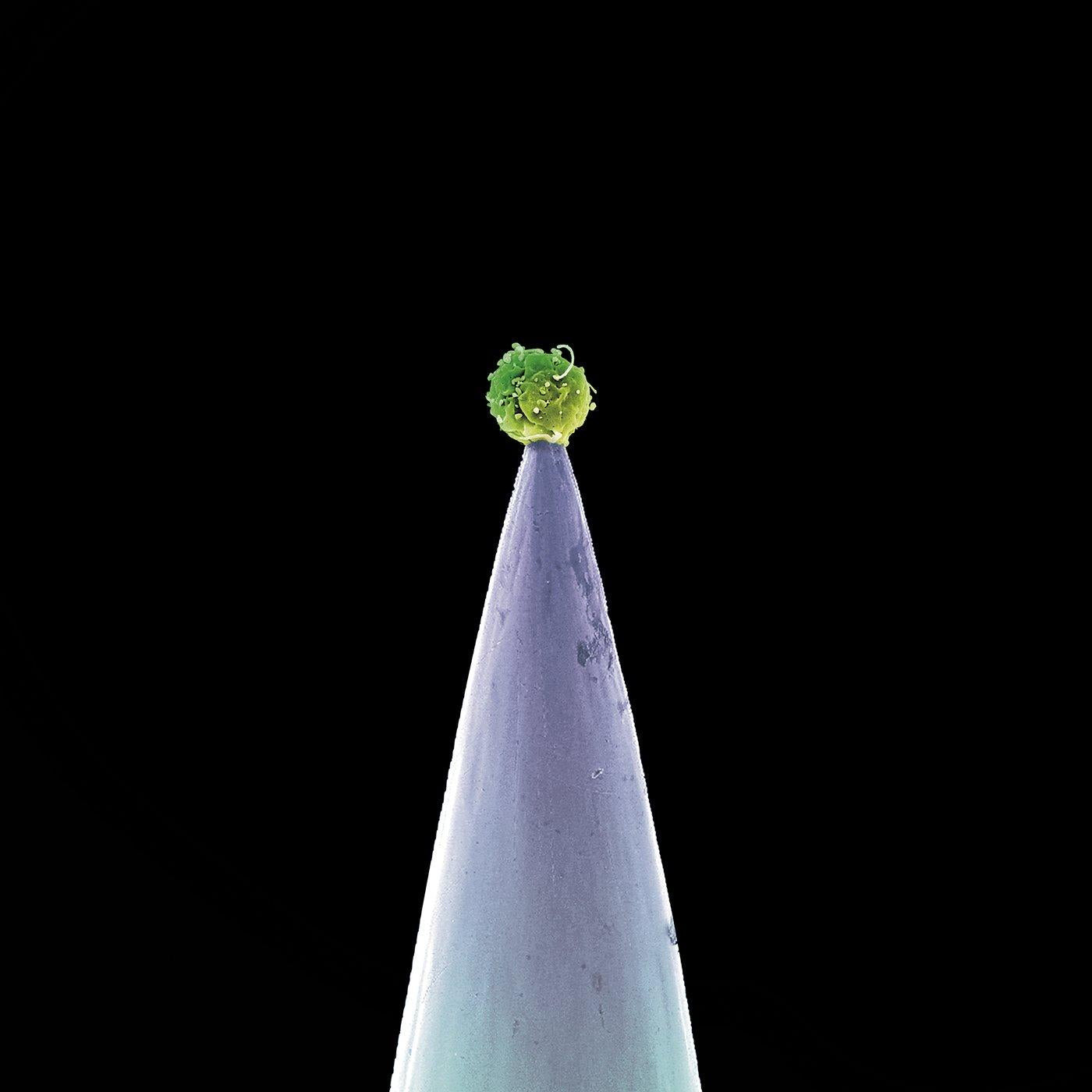 Peter Gabriel - New Blood - Cd