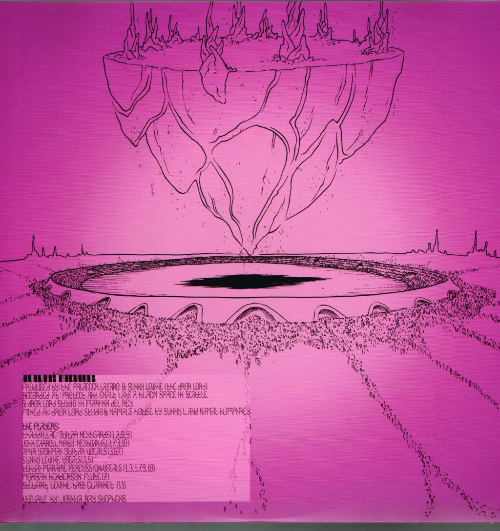 Shabazz Palaces - Quazarz Vs The Jealous Machines - Lp