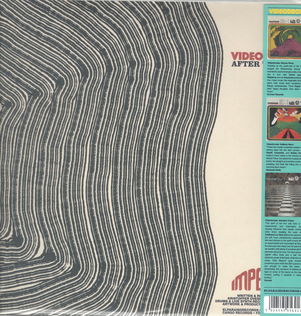 Videodrones - After The Fall - Lp