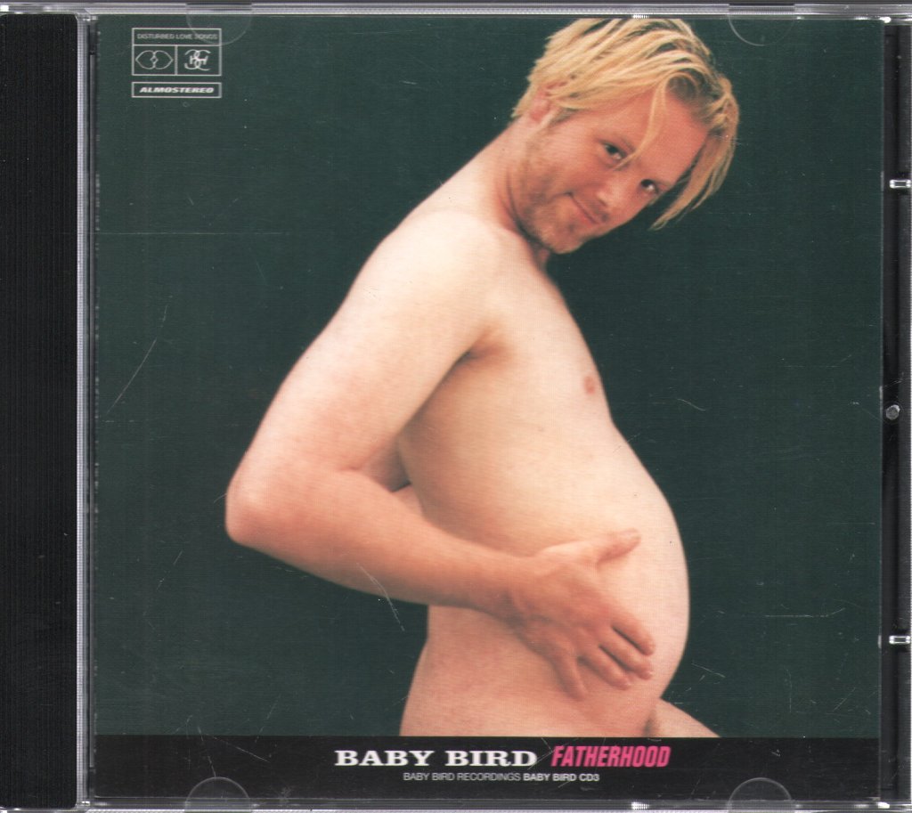 Babybird - Fatherhood - Cd