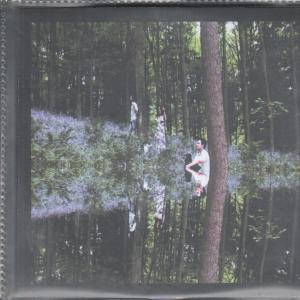 Lunar Phase - Under The Radar - Cdr