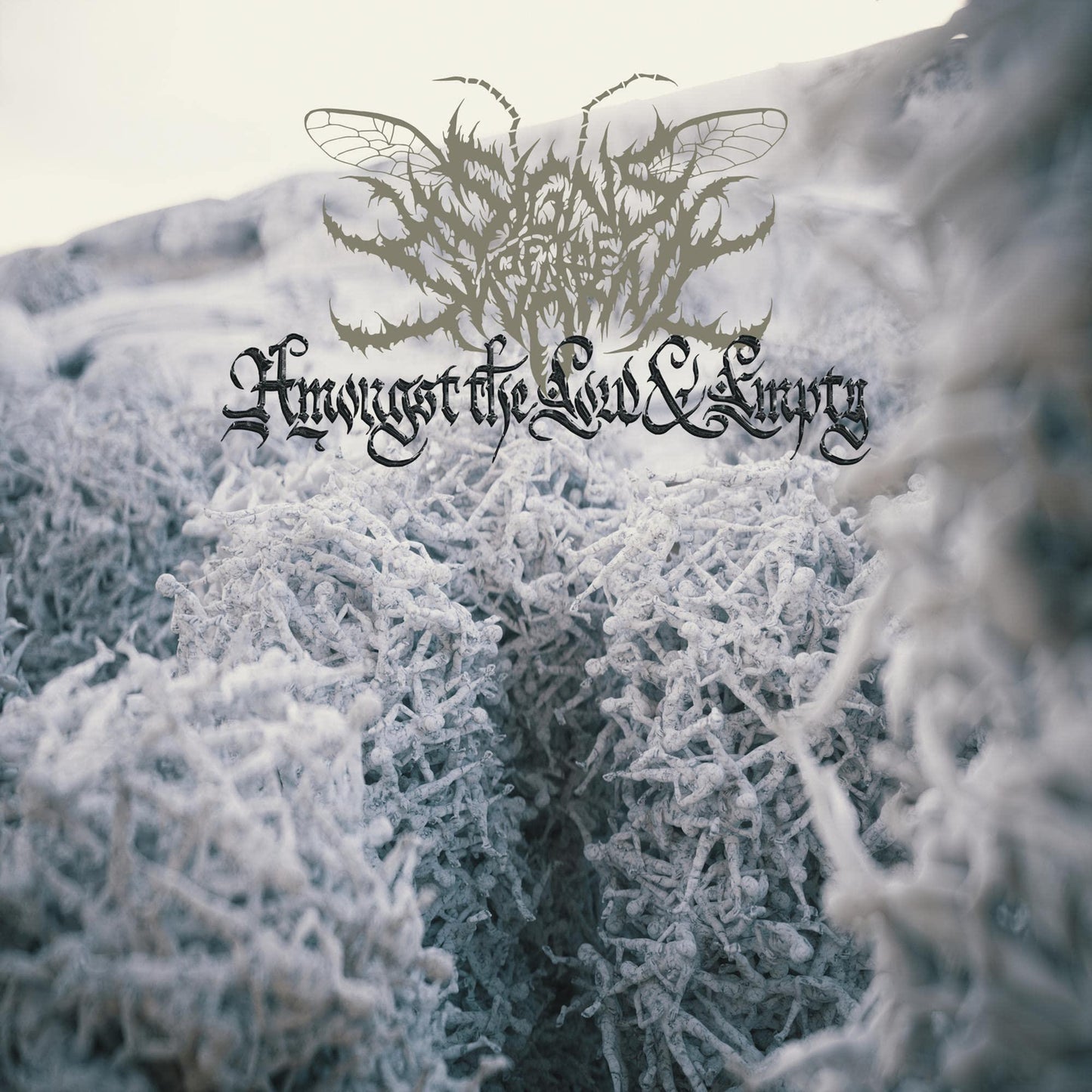 Signs of the Swarm - Amongst the Low & Empty - Cd