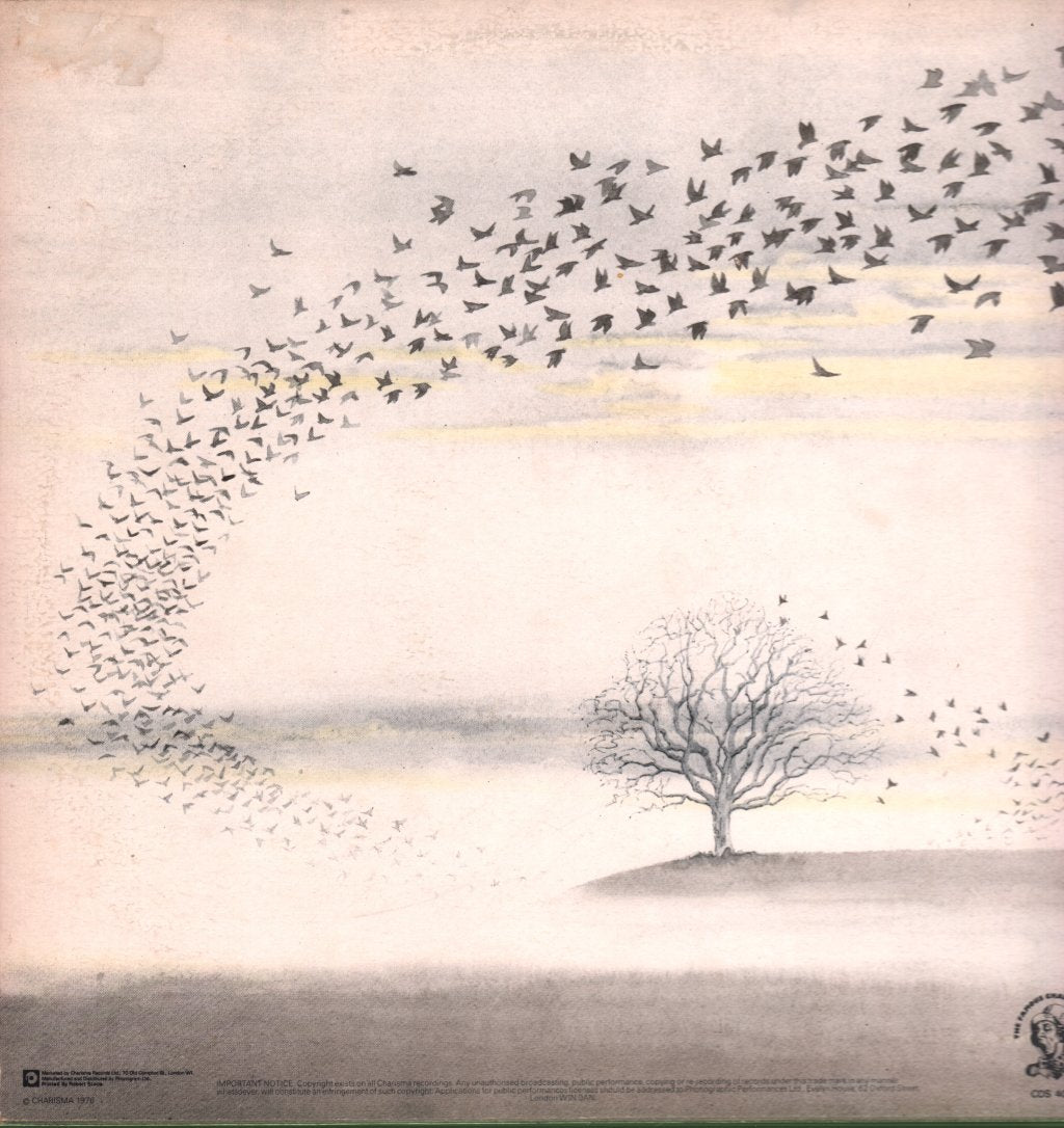 Genesis - Wind & Wuthering - Lp