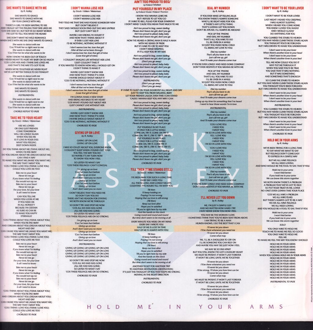 Rick Astley - Hold Me In Your Arms - Lp