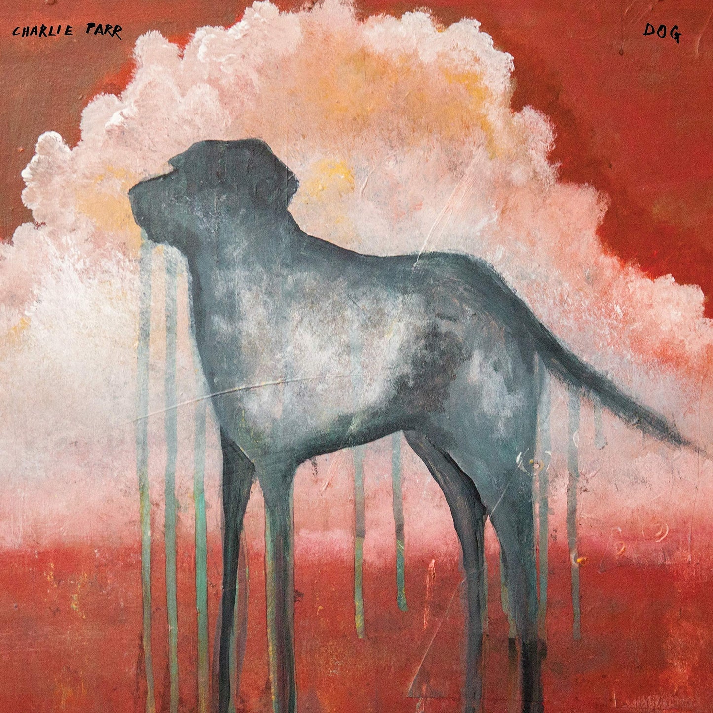 Charlie Parr - Dog - Cd