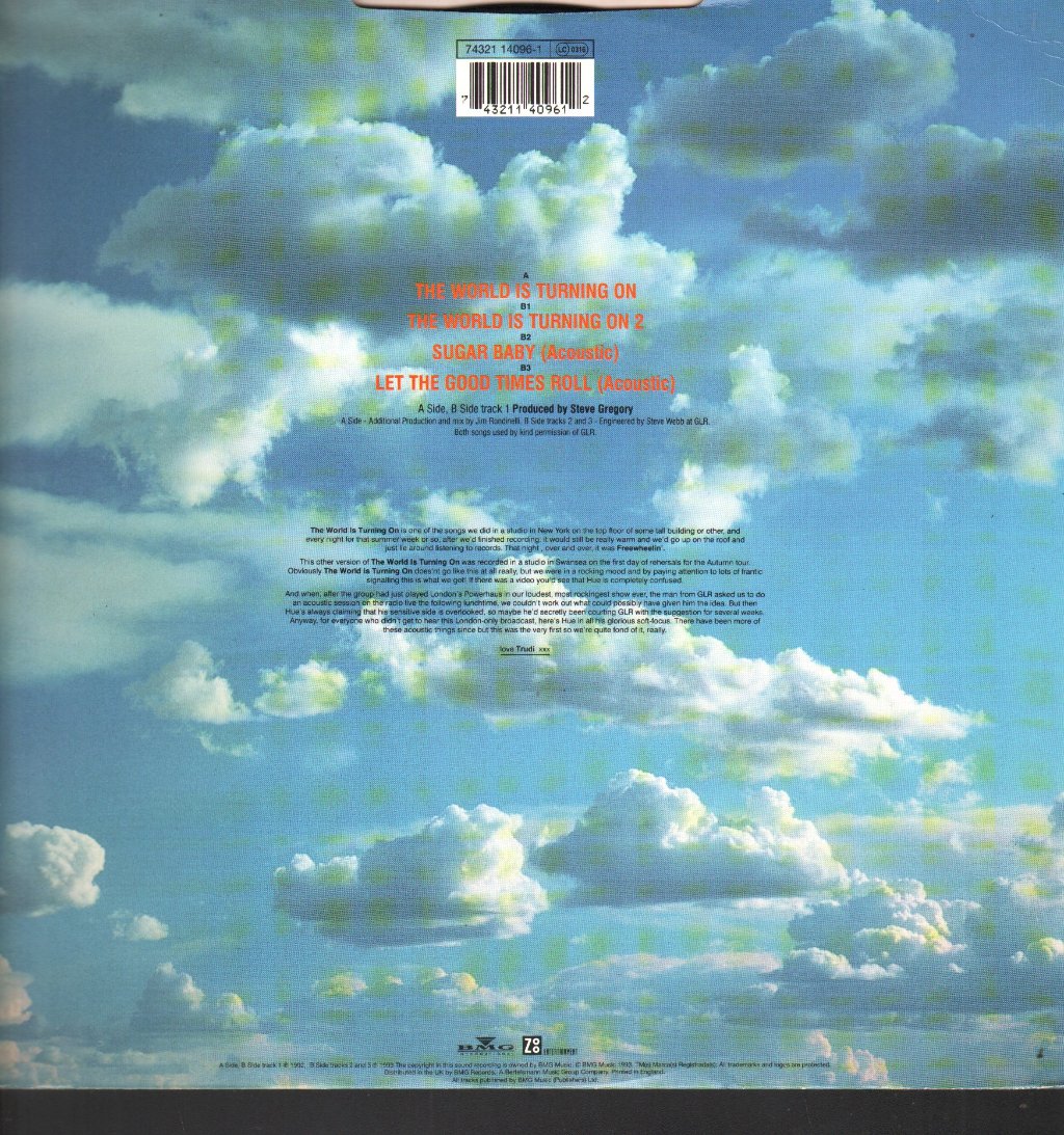 Pooh Sticks - World Is Turning On - 12 Inch