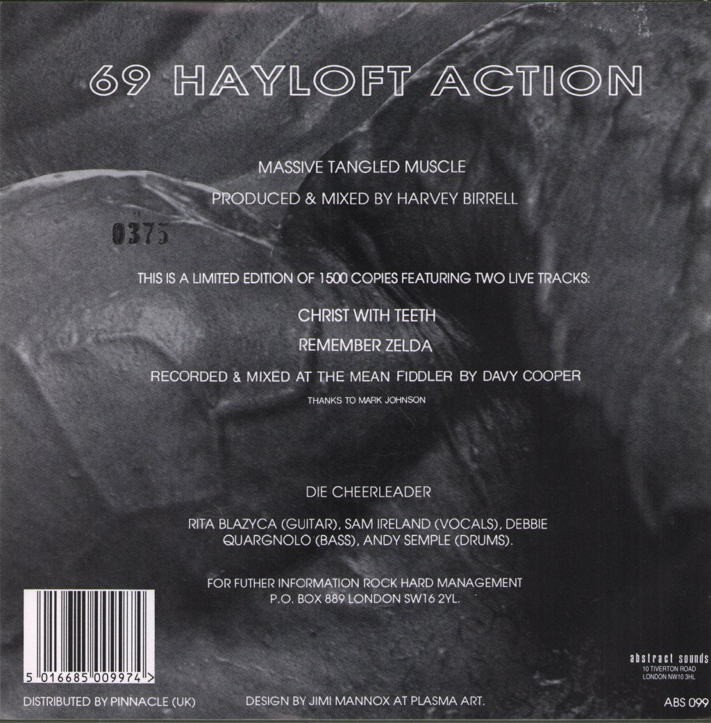 Die Cheerleader - 69 Hayloft Action - 7 Inch