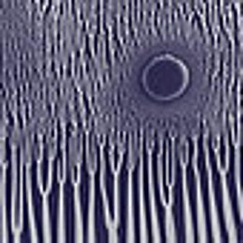 Sunn O))) - Grimmrobe Demos - Cd