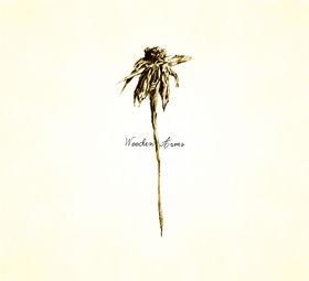 Patrick Watson - Wooden Arms - Cd