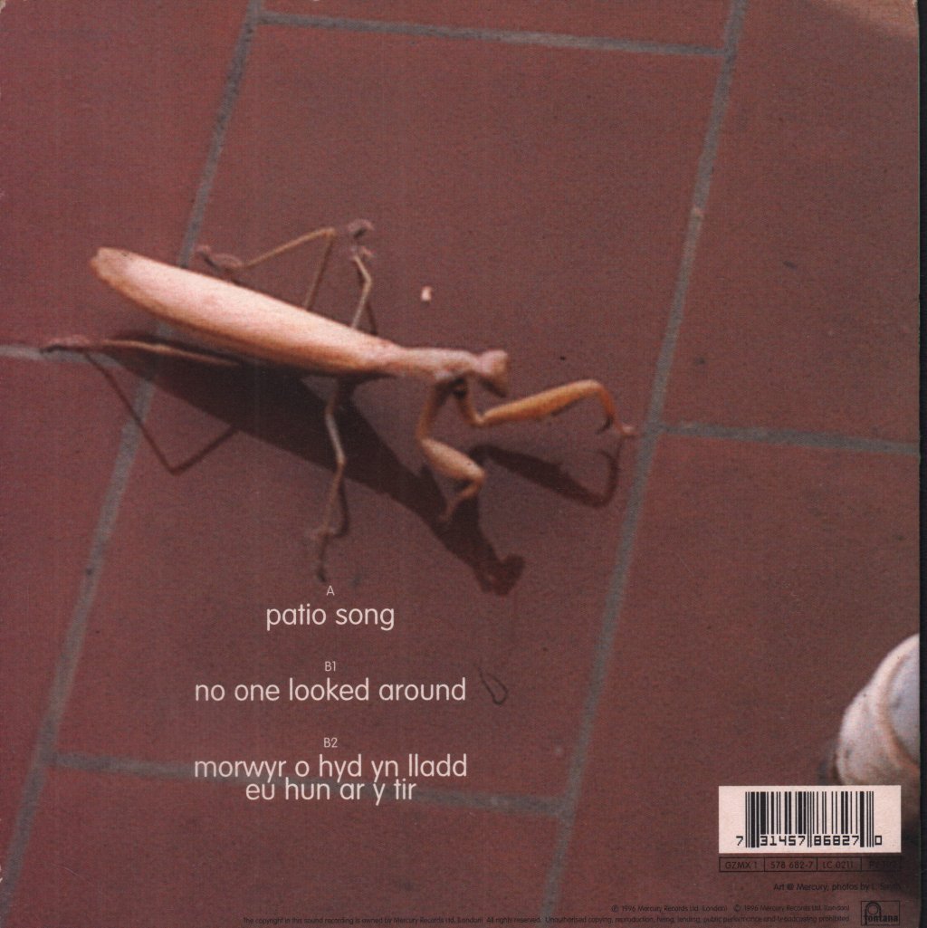 Gorky's Zygotic Mynci - Patio Song - 7 Inch