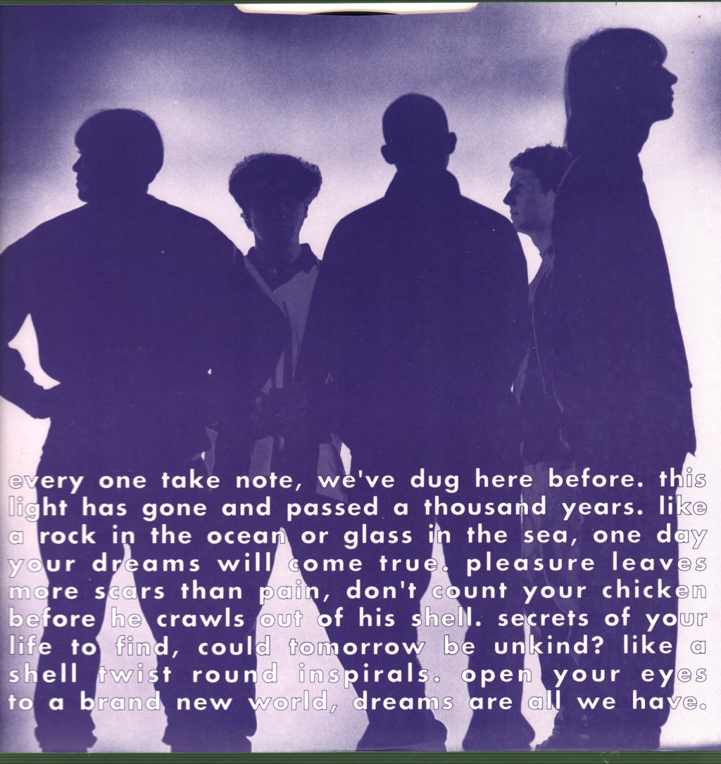 Inspiral Carpets - Beast Inside - Lp