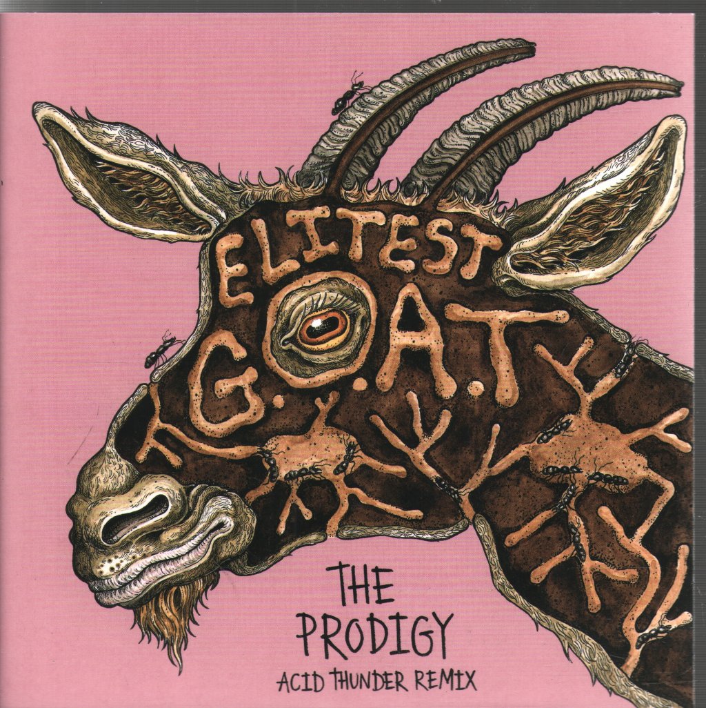 Sleaford Mods Feat. Aldous Harding - Elitest G.O.A.T. (The Prodigy Acid Thunder Mix) - 7 Inch