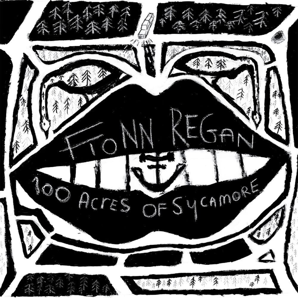 Fionn Regan - 100 Acres of Sycamore - Lp