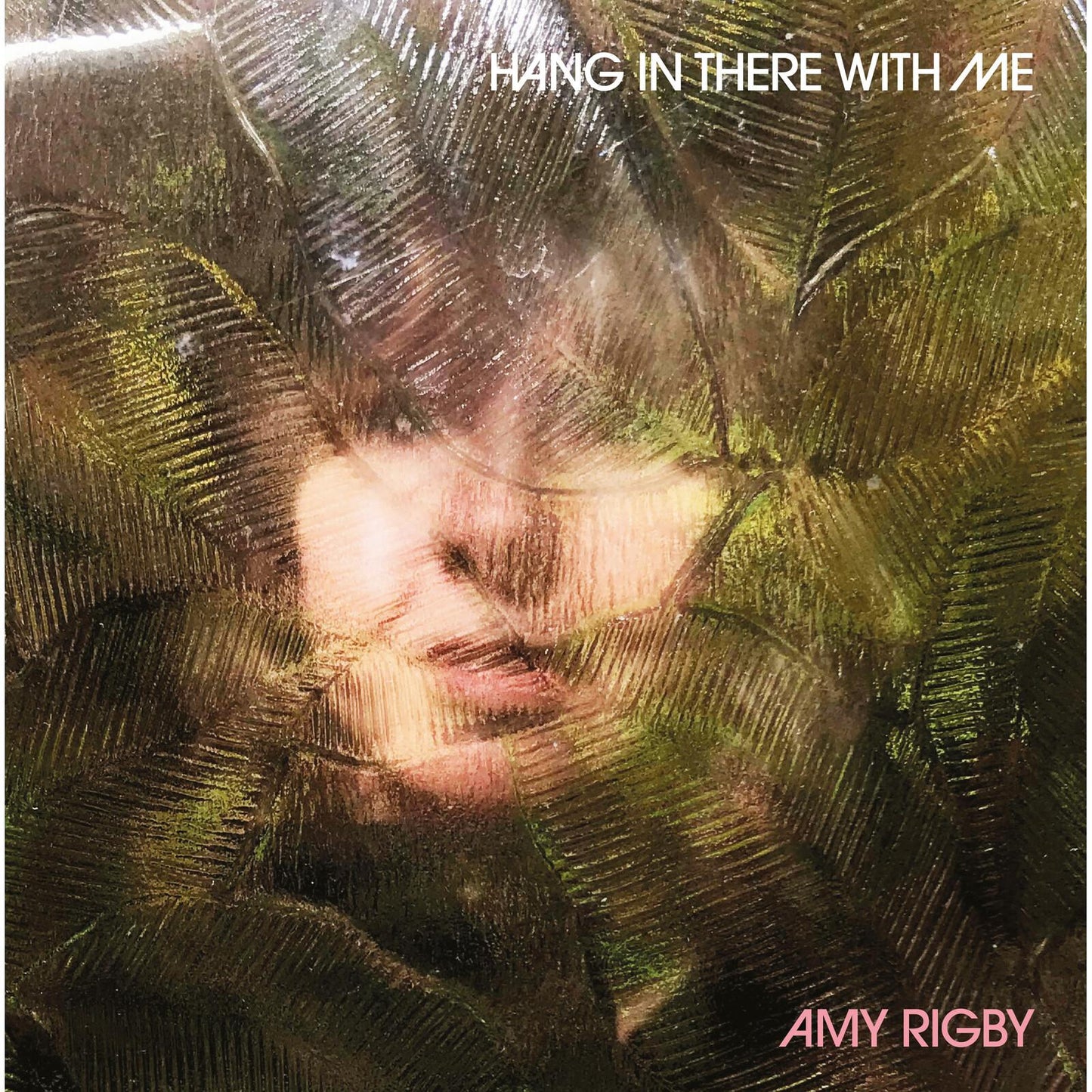 Amy Rigby - Hang In There With Me - Cd